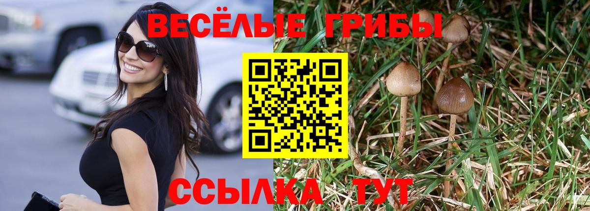 Галлюциногенные грибы MAGIC MUSHROOMS Котлас