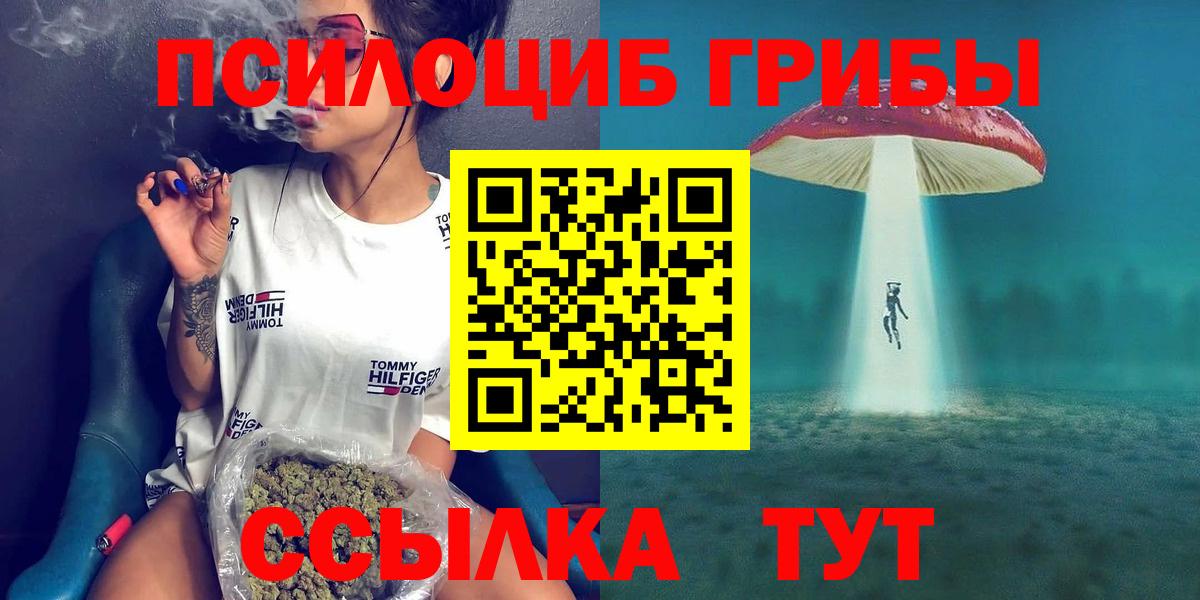 Котлас  Псилоцибиновые грибы Psilocybe  Вход с VPN  купить закладку  Псилоцибиновые грибы Magic Shrooms 